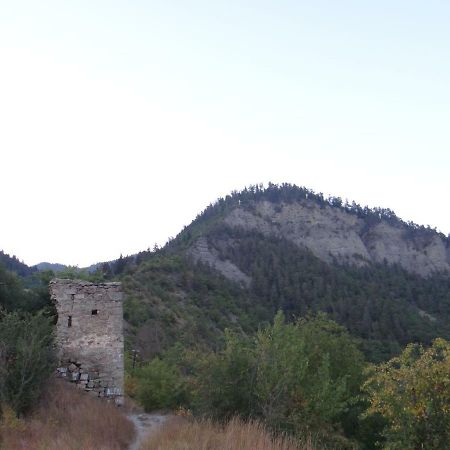 Dalko Hotel Borjomi Luaran gambar