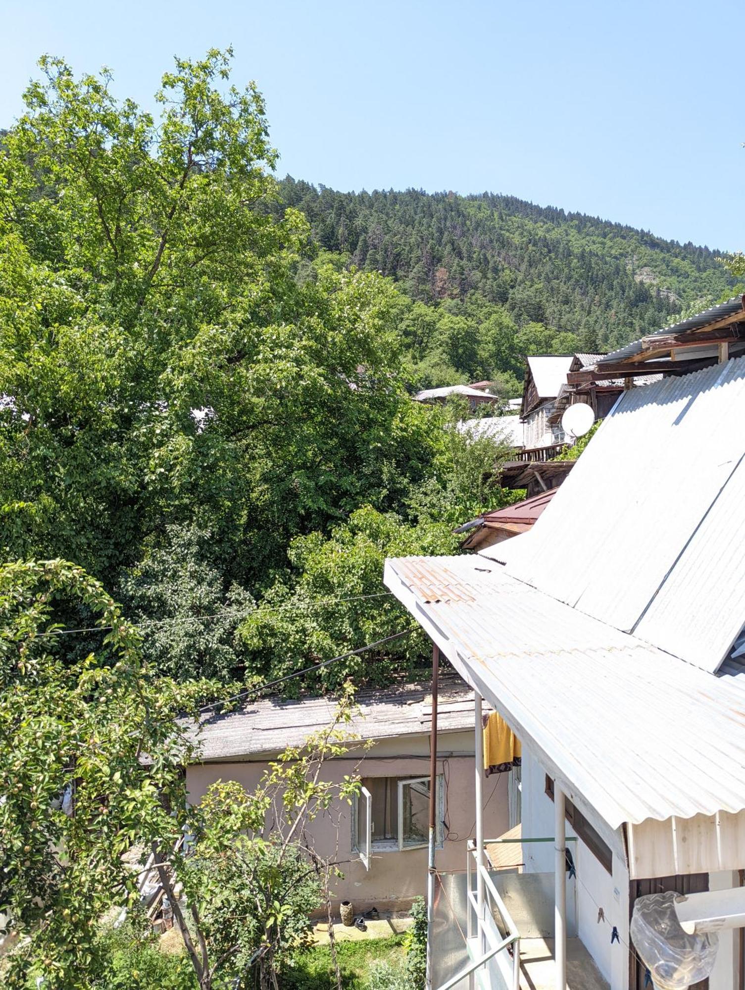 Dalko Hotel Borjomi Bilik gambar
