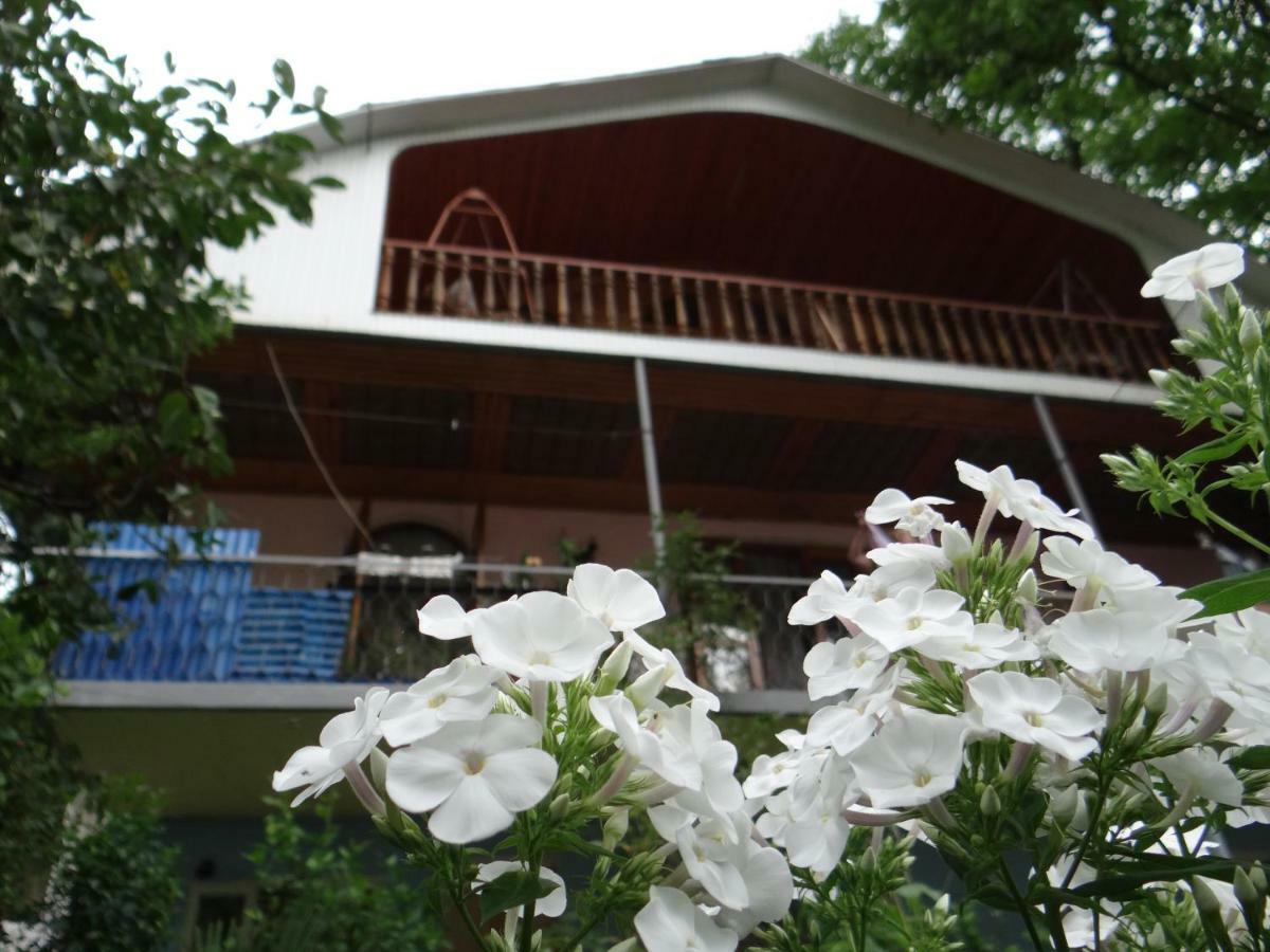 Dalko Hotel Borjomi Luaran gambar