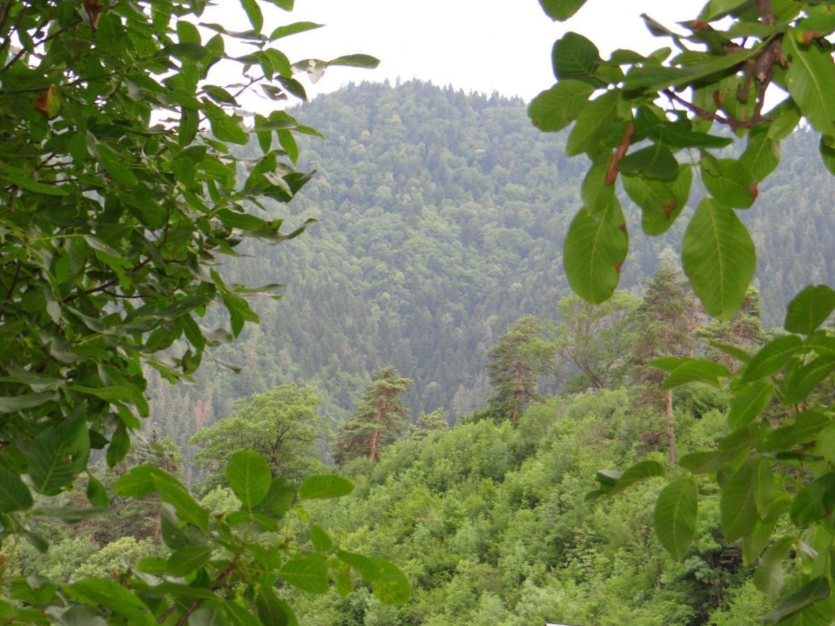 Dalko Hotel Borjomi Luaran gambar