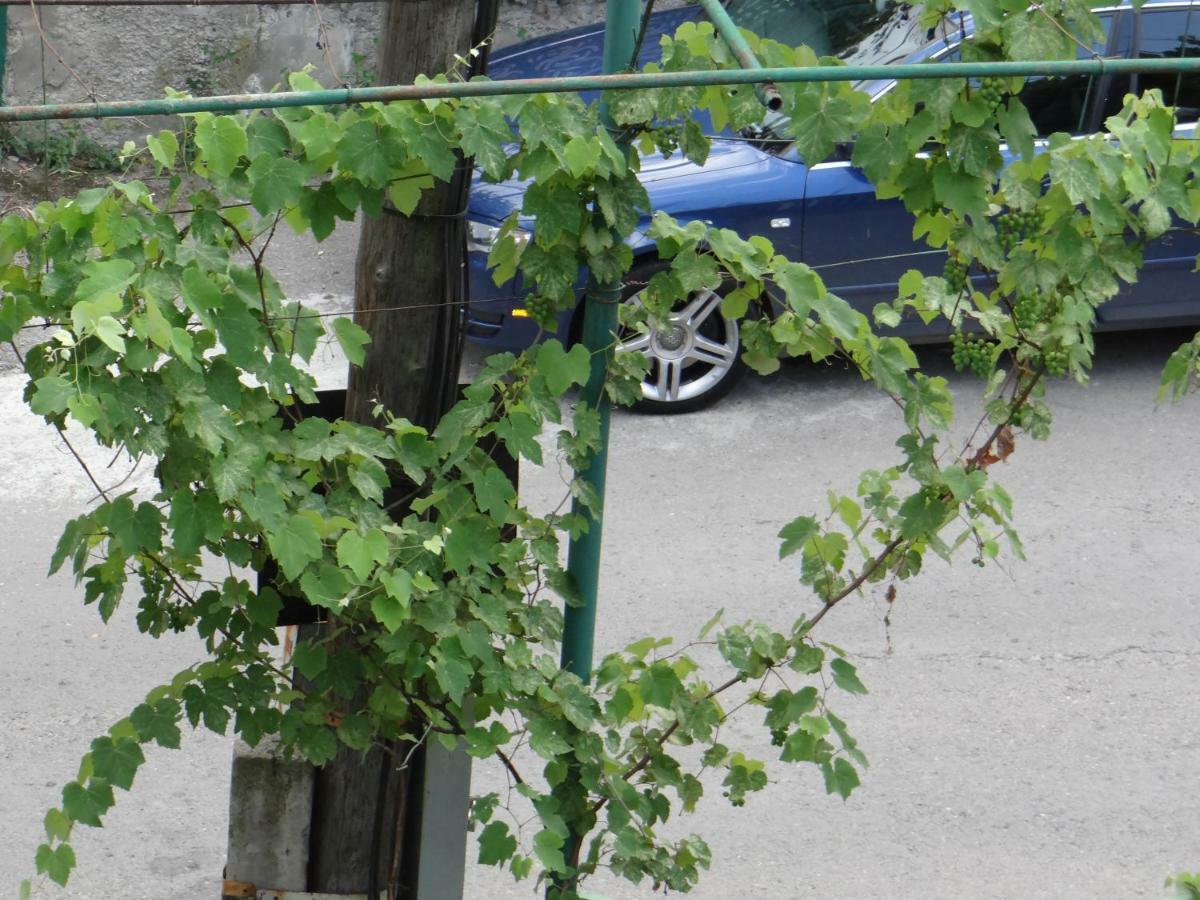 Dalko Hotel Borjomi Luaran gambar