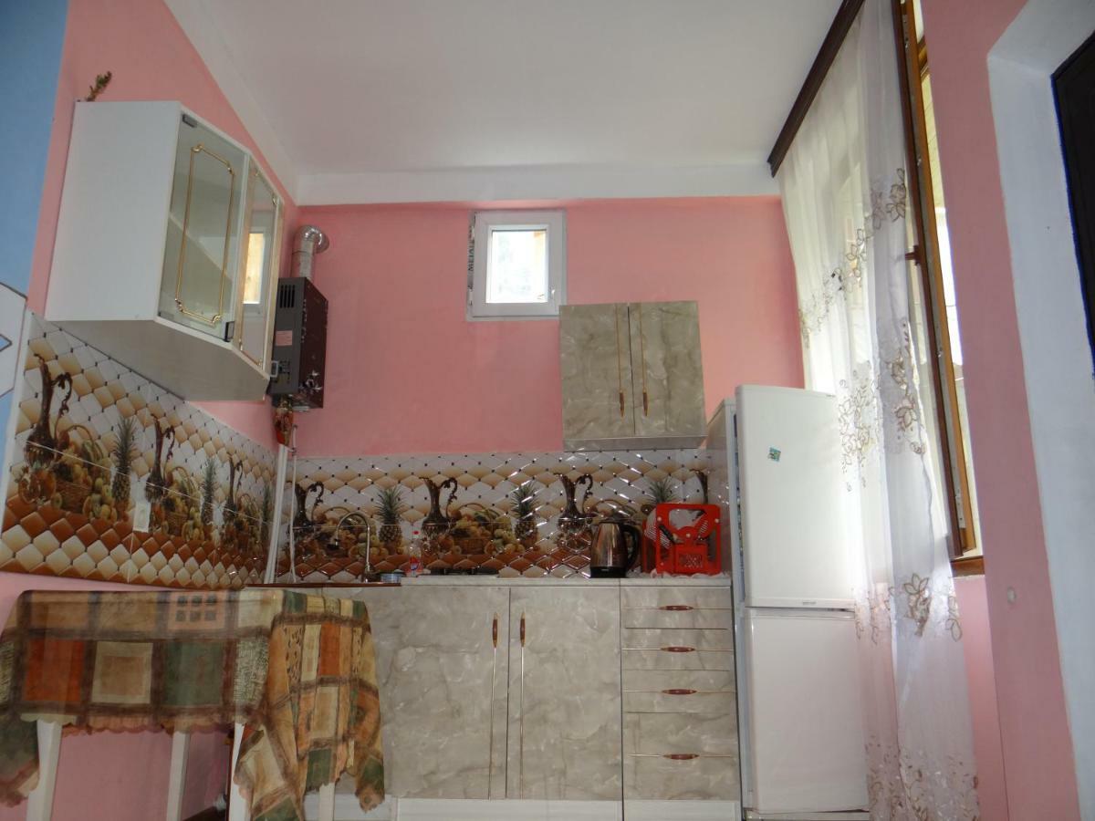 Dalko Hotel Borjomi Luaran gambar
