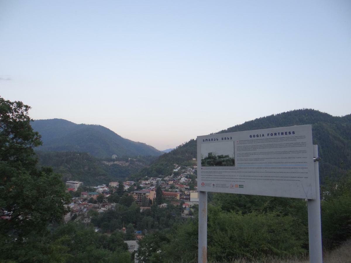 Dalko Hotel Borjomi Luaran gambar